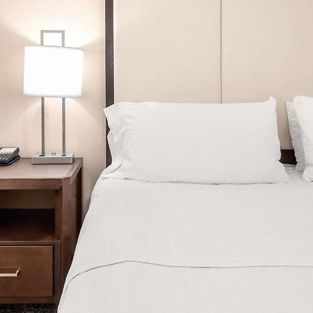 Homewood Suites By Hilton San Marcos Extérieur photo