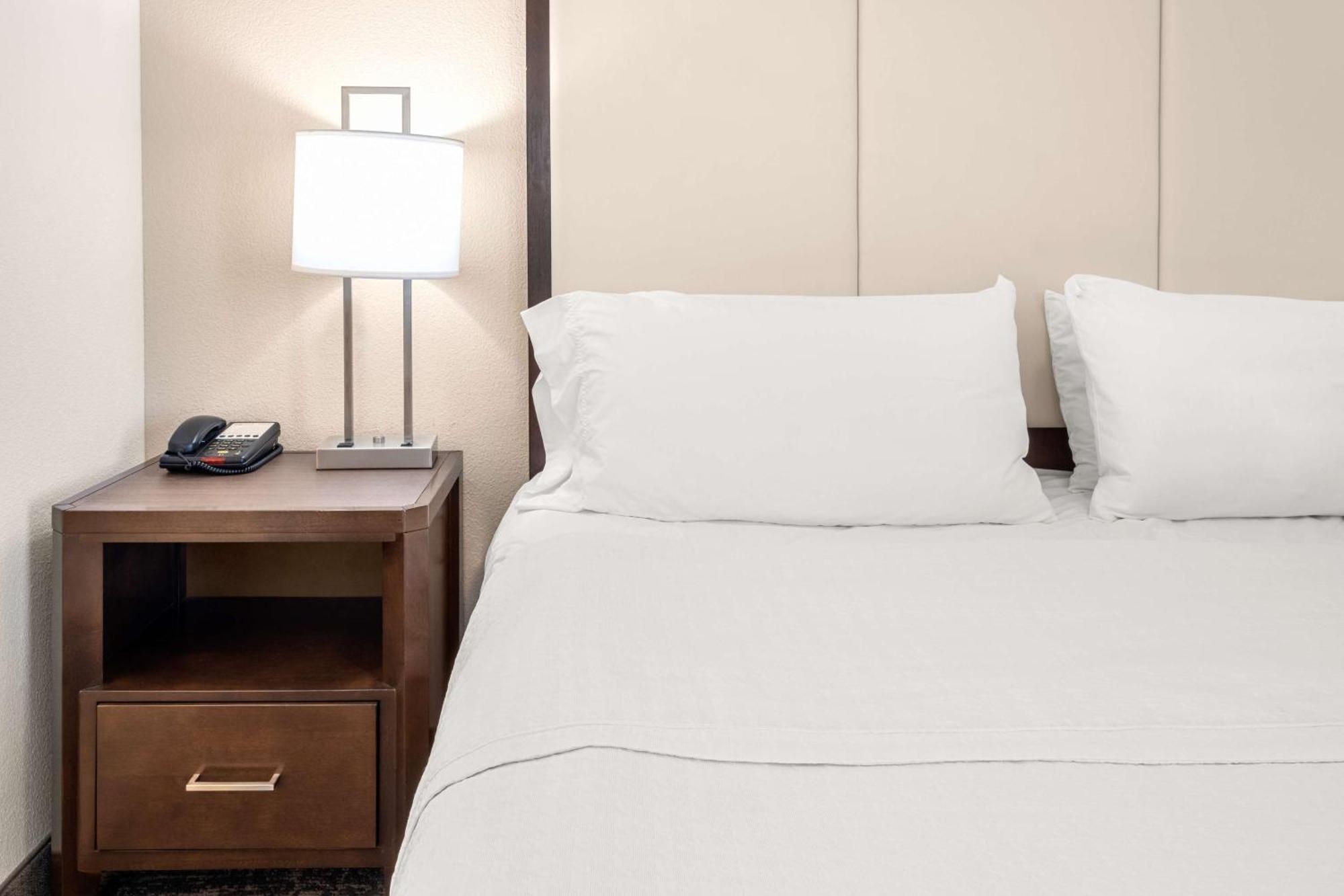 Homewood Suites By Hilton San Marcos Extérieur photo